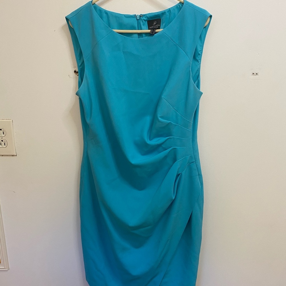 Adrianna Papell aside Rouche Dress